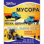 Логотип компании Шершнев, ИП (Алматы)