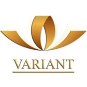 Логотип компании Variant (Вариант), ИП (Омск)