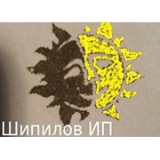 Логотип компании Шипилов Ю. Н., ИП (Горно-Алтайск)