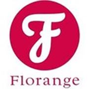 Логотип компании Интернет-магазин французской коллекции эксклюзивного нижнего белья и ювелирной бижутерии “Флоранж“ (Киев)