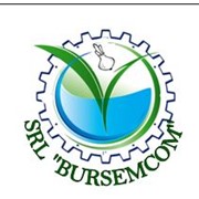 Логотип компании Bursemcom, SRL (Сорока)