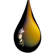 Логотип компании Viva-oiL (Вива-Оил), ООО (Донецк)