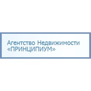 Логотип компании Принципиум, ООО (Рыбинск)