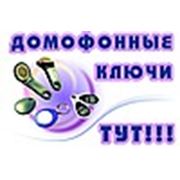 ФЛ-П Кузюбердина С. Н.