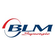 Логотип компании Синержи БЛМ, ООО (Москва)