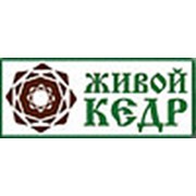 Логотип компании интернет-магазин Живой кедр (Ростов-на-Дону)