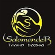 Логотип компании Театр вогню “Salamander“ (Ужгород)