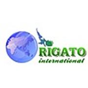 RiGaTo International KAZAKHSTAN TOO
