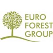 Логотип компании Euro Forest Group, Компания (Рига)
