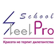 Логотип компании Учебный центр SteelPro (Энгельс)