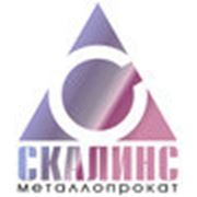 Логотип компании СКАЛИНС (Москва)