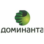 Логотип компании ООО “Доминанта“ (Краснодар)