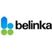 Логотип компании ООО «Белинка-БелСтрой» (Минск)