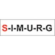 Логотип компании ООО “Симург“ (Новосибирск)