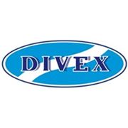 Логотип компании Компания «Дайвекс» (Киев)