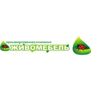 Логотип компании ИП Живомебель (Павлодар)