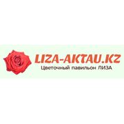 Логотип компании Лиза (Актау)