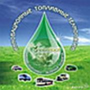 Логотип компании Greenfootglobal (Караганда)