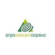 Логотип компании ООО Агро-консалт (Киев)