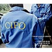 Логотип компании Станция кузовного ремонта “CIPO“ (Киев)