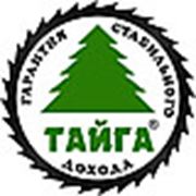 Логотип компании ООО “Синтез“ (Горно-Алтайск)