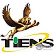 Логотип компании Tiens- Тяньши (Усть-Каменогорск)