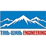 Логотип компании ТОО “Тянь-Шань Engineering“ (Алматы)