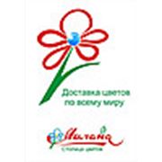 Логотип компании ТОО “Астана Гулдері“ (Астана)