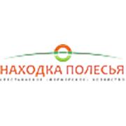 Логотип компании КФХ Находка Полесья (Иваново)