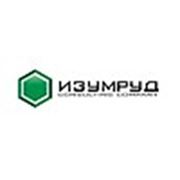 Логотип компании ИЗУМРУД консалтинговая компания (Днепр)