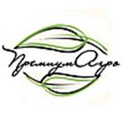 Логотип компании ООО «ПремиумАгро» (Санкт-Петербург)