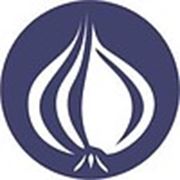 Логотип компании Агрофирма “Бургос“ (Городище)