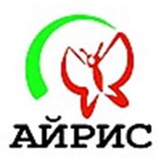 Логотип компании ООО “АЙРИС“ Центр Помощи “Забота“ (Чита)