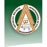 Логотип компании Государственное предприятие по селекции и гибридизации свиней Moldsuinhibrid (Орхей)