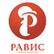 Логотип компании ООО “Равис-птицефабрика Сосновская“ (Рощино)