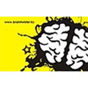 Логотип компании DS Brain Twister (Алматы)