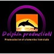 Логотип компании ФВК Dolphin Production Inc (Ивантеевка)