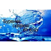 Логотип компании ООО “Кедр“ (Сургут)