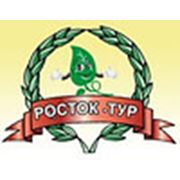 Логотип компании Центр Отдыха и Развлечений «РОСТОК» (Хабаровск)
