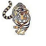 Логотип компании ТКА «тИгра» (Москва)