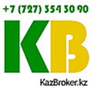 Логотип компании KazBroker (Алматы)
