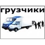 Логотип компании ИП Чесноков А. А. (Новосибирск)