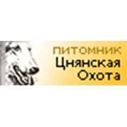 Логотип компании Зюзина Ю. (Цнянская охота), ИП (Логойск)