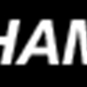 Логотип компании “Hamann“ Украина (Киев)