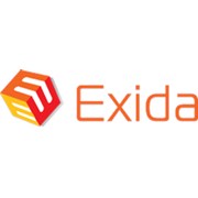 Логотип компании Эксида (Киев)