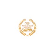 Логотип компании Vipol Group (Киев)