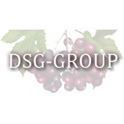 Логотип компании Dsg-group (Киев)