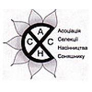 Логотип компании Асоціація «СЕЛЕКЦІЯ ТА НАСІННИЦТВО СОНЯШНИКУ» (Харьков)