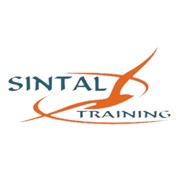 Логотип компании Sintal (Кишинев)