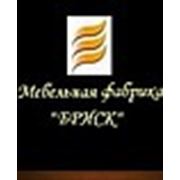 Логотип компании Мебельная фабрика «Бриск» (Москва)